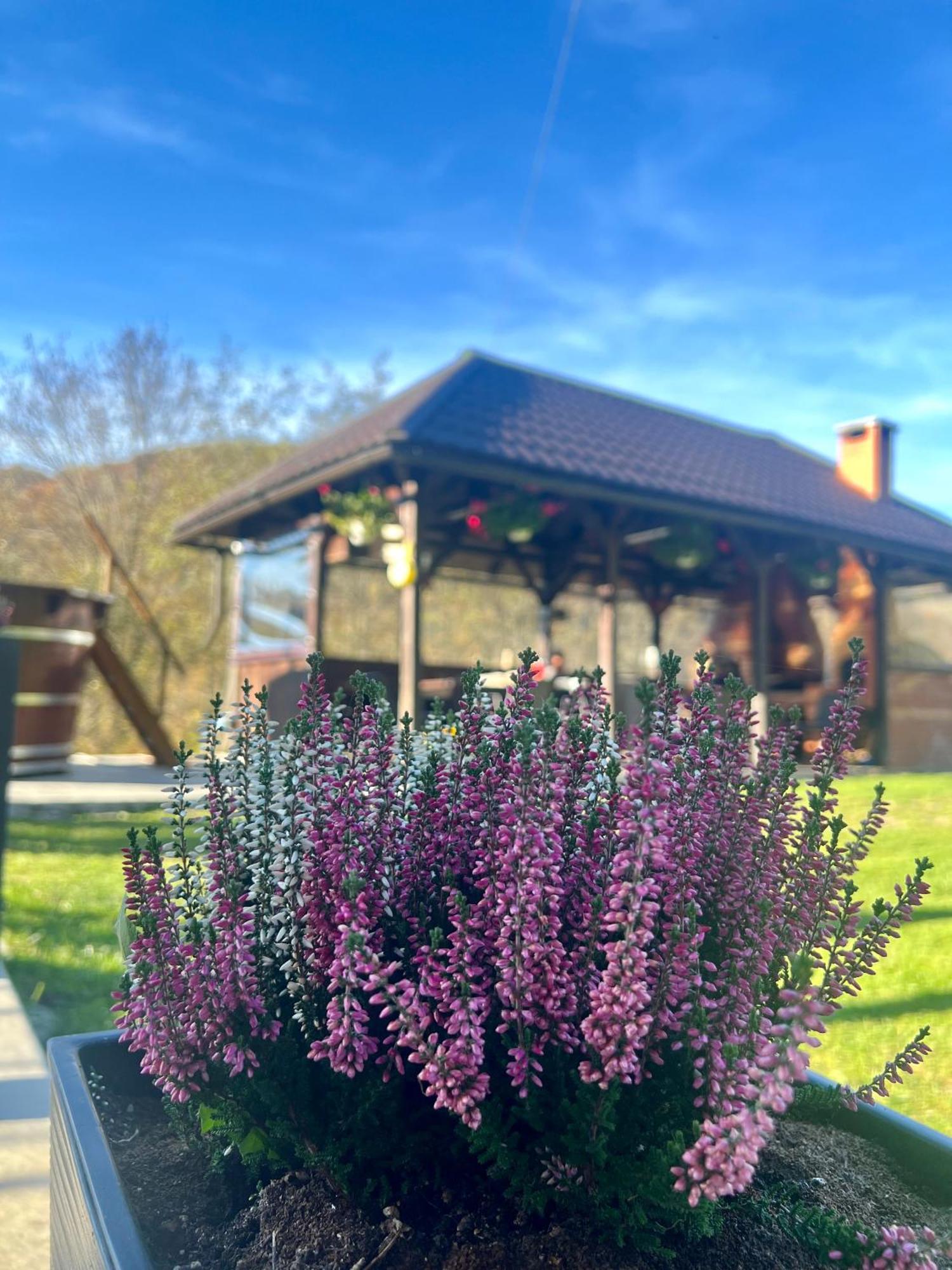 Cabana Baraj Apuseni Mountains Mihoesti 外观 照片