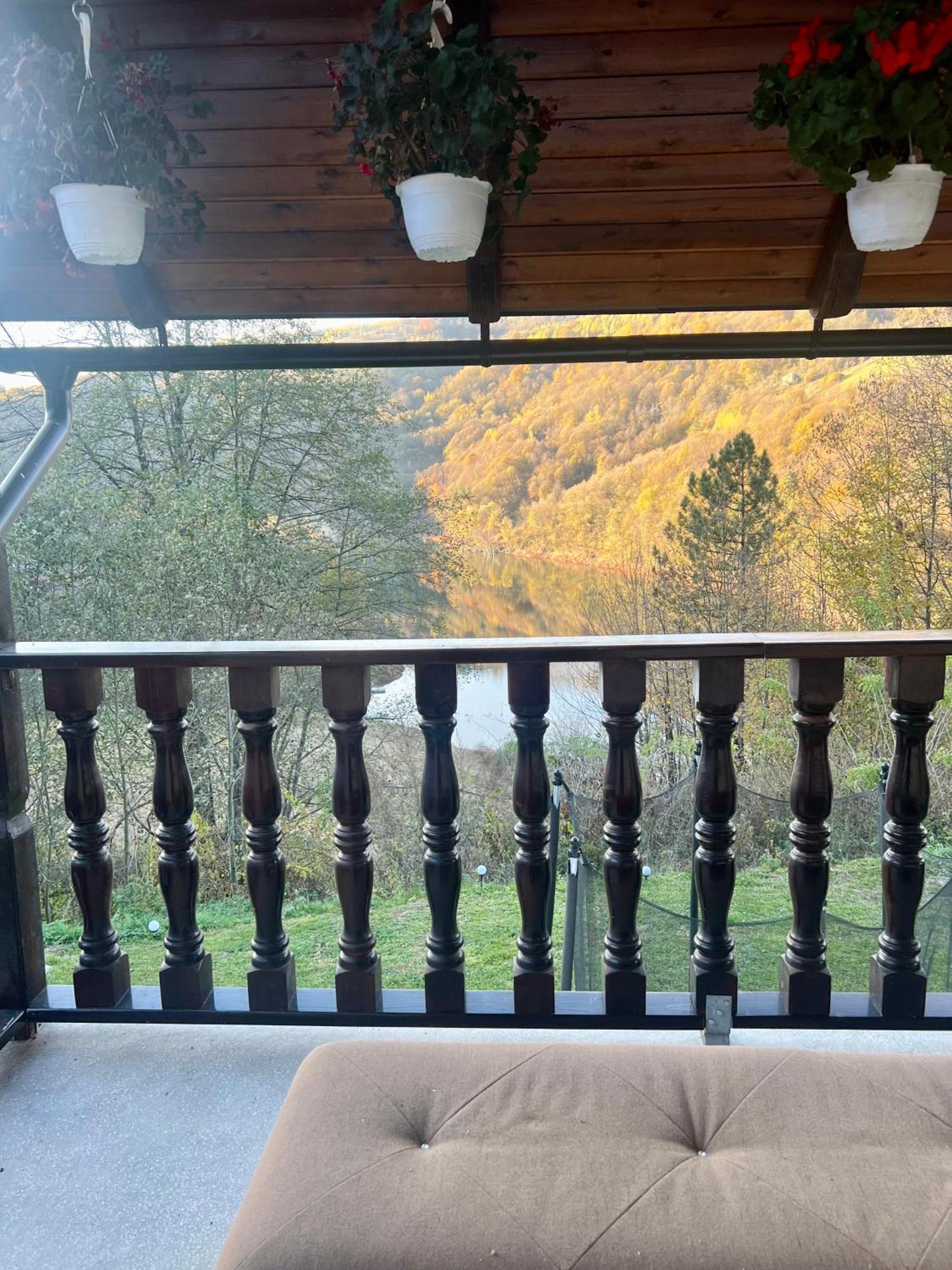 Cabana Baraj Apuseni Mountains Mihoesti 外观 照片